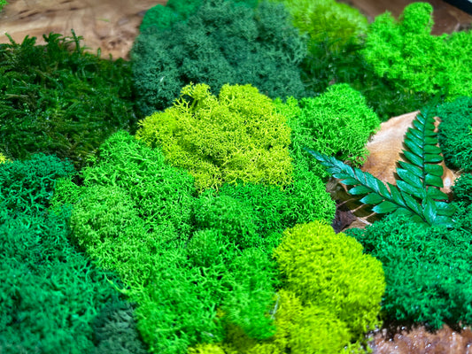 Close-up of preserved moss, showcasing its vibrant green color and intricate texture