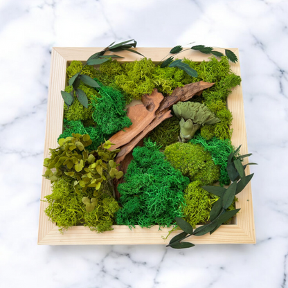 DIY Moss Wall Art Kit, Craft Project, Natural Gift, 6"