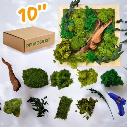 DIY Moss Wall Art Kit, Craft Project, Natural Gift, 6"