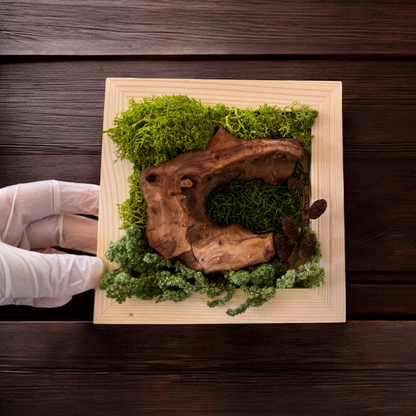 DIY Moss Wall Art Kit, Craft Project, Natural Gift, 6"