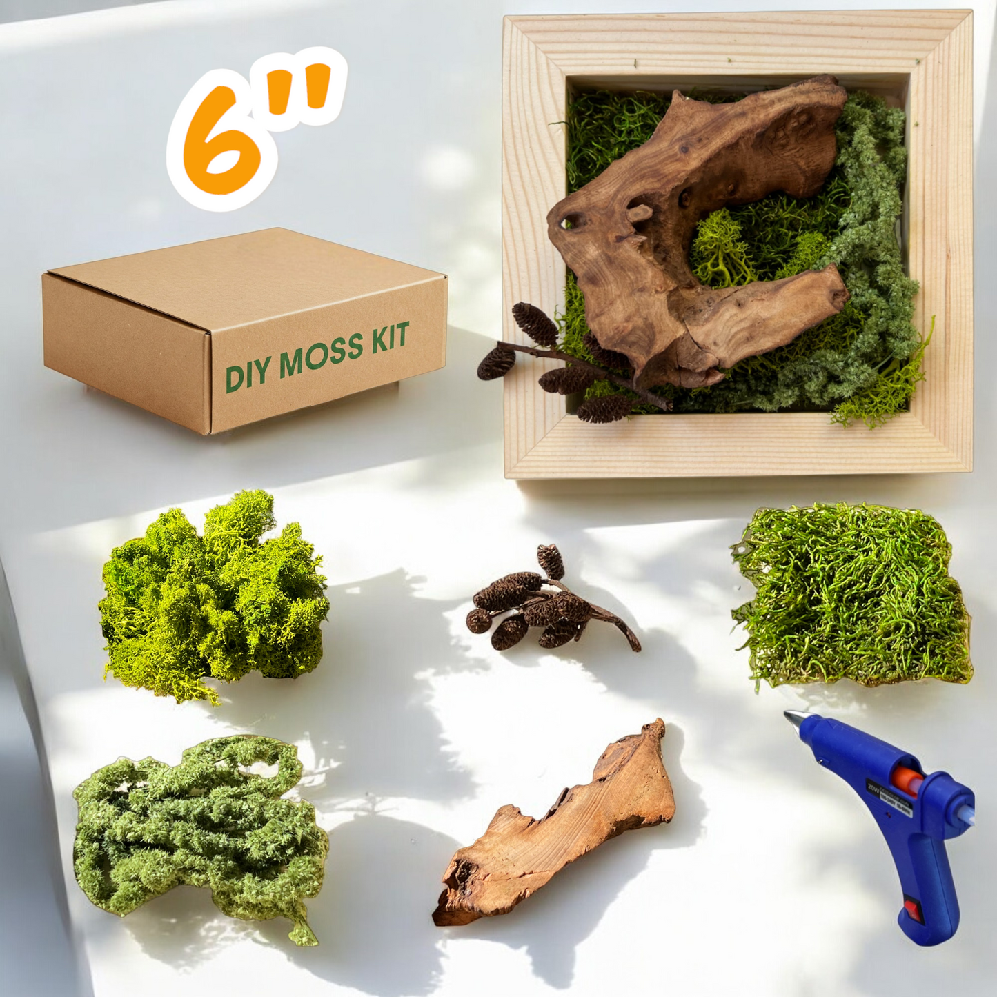 DIY Moss Wall Art Kit, Craft Project, Natural Gift, 6"