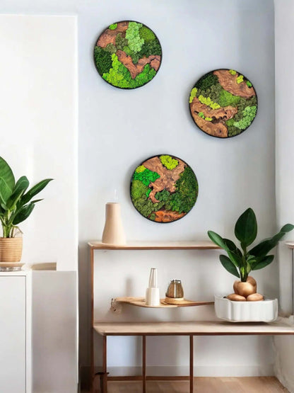 12x12" & 16x16" Round Cedar Wood Moss Wall Art Trio - Natural Décor Displayed on Modern Indoor Wall
