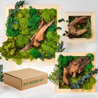 DIY Moss Wall Art Kit, Craft Project, Natural Gift, 6"