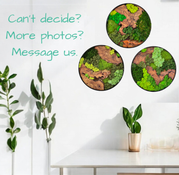 12x12" & 16x16" Round Cedar Wood Moss Wall Art