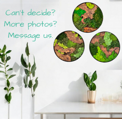 12x12" & 16x16" Round Cedar Wood Moss Wall Art