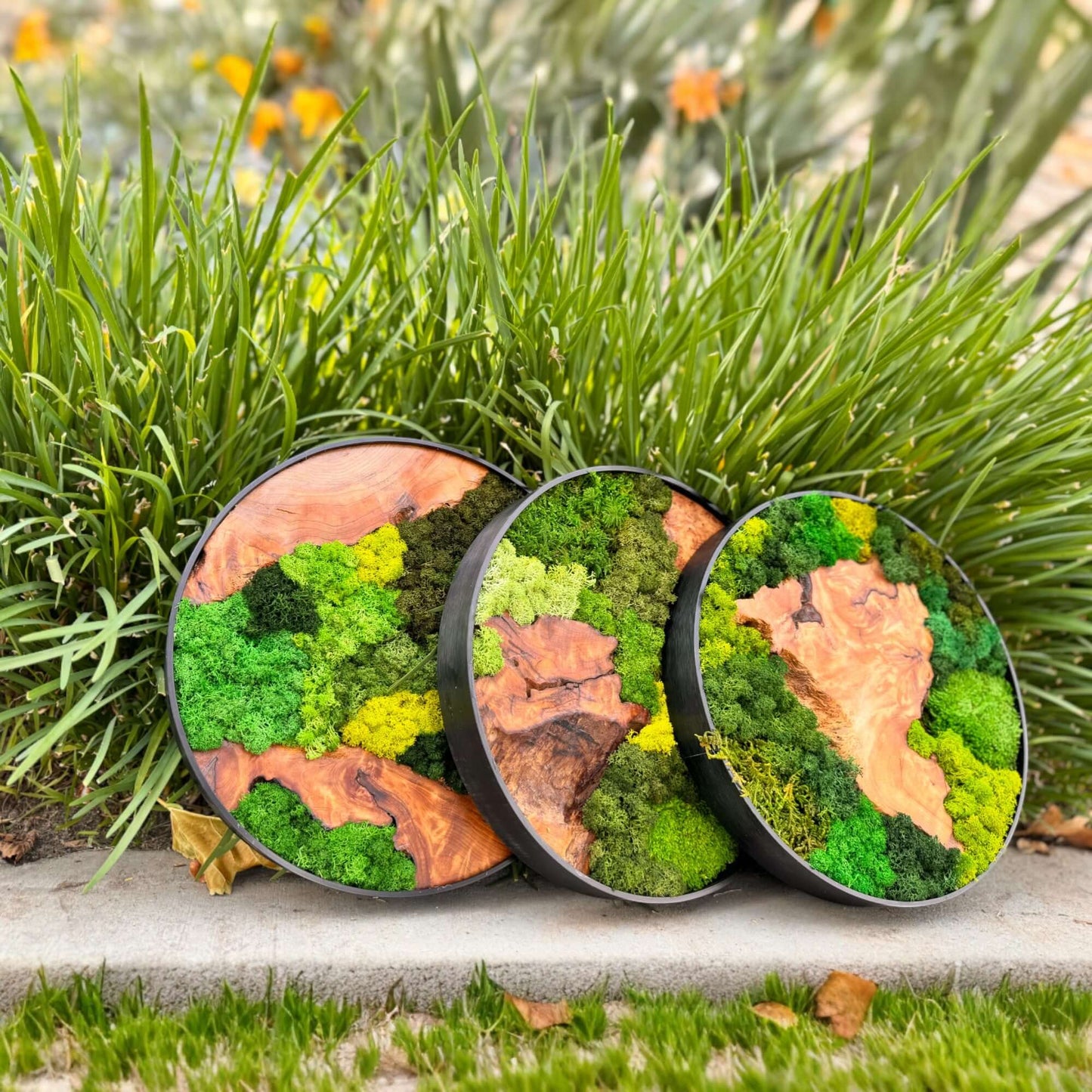 12x12" & 16x16" Round Cedar Wood Moss Wall Art Collection - Handcrafted Natural Décor Displayed Outdoors