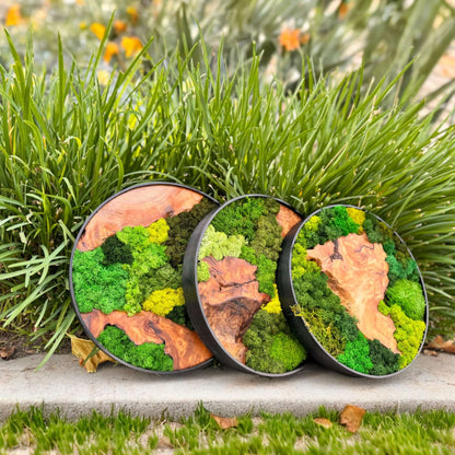 12x12" & 16x16" Round Cedar Wood Moss Wall Art Collection - Handcrafted Natural Décor Displayed Outdoors