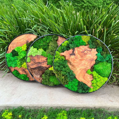 12x12" & 16x16" Round Cedar Wood Moss Wall Art Collection - Handcrafted Natural Décor Displayed Outdoors