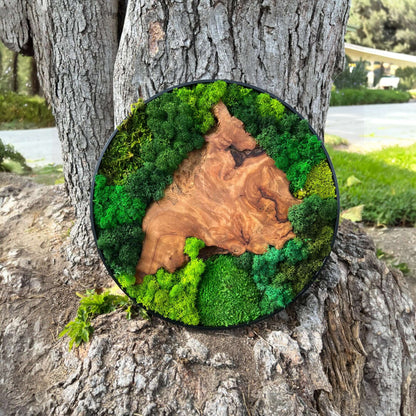 12x12" & 16x16" Round Cedar Wood Moss Wall Art - Handcrafted Natural Décor Displayed Against Tree Trunk Outdoor