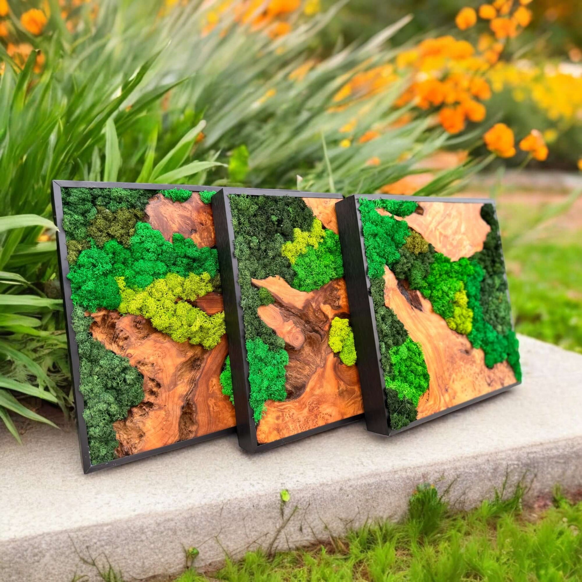 Set of three moss wall art pieces of cedar wood displayed outdoors