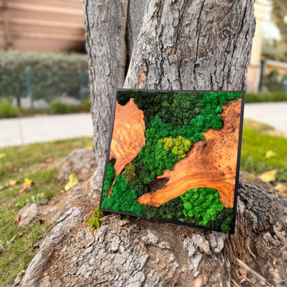 Moss wall art piece of cedar wood displayed outdoors against a tree trunk