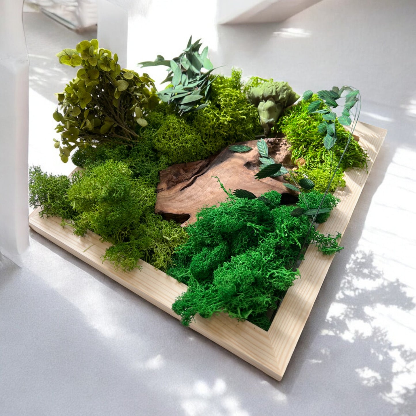 DIY Moss Wall Art Kit, Craft Project, Natural Gift, 6"