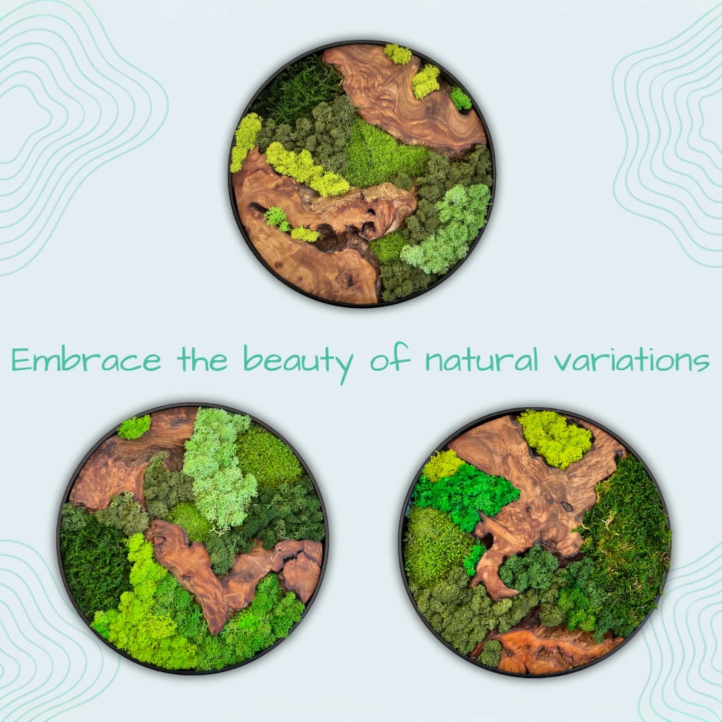 12x12" & 16x16" Round Cedar Wood Moss Wall Art Collection - Embrace the Beauty of Natural Variations