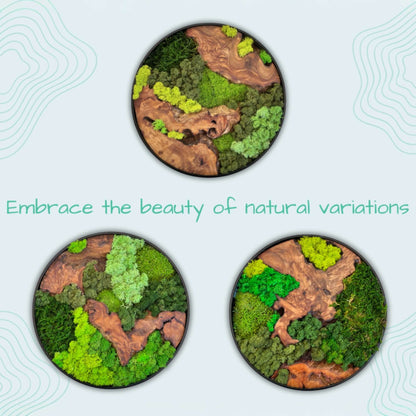 12x12" & 16x16" Round Cedar Wood Moss Wall Art Collection - Embrace the Beauty of Natural Variations