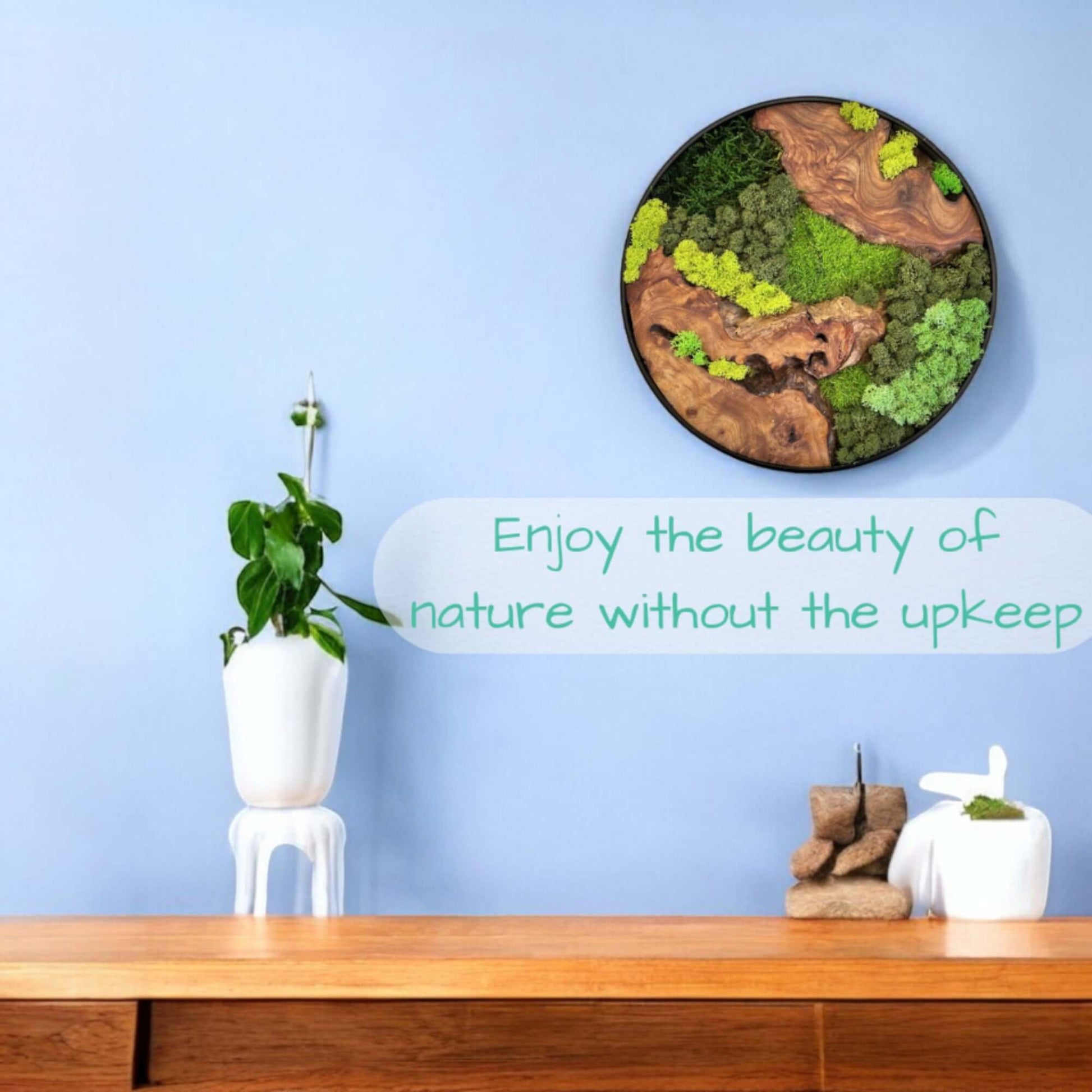 12x12" & 16x16" Round Cedar Wood Moss Wall Art Displayed on Blue Wall with Modern Decor