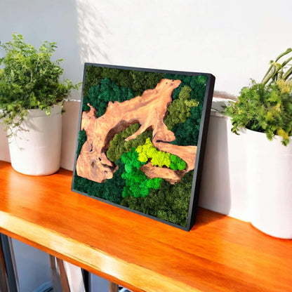 moss wall art with cedar wood on a wooden surface


