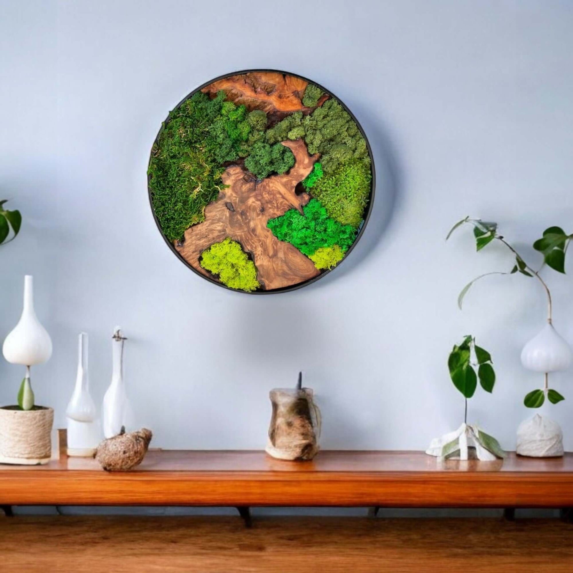 Cedar Wood Moss Wall Art Display - Three Round Pieces on Wall

