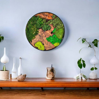 Cedar Wood Moss Wall Art Display - Three Round Pieces on Wall

