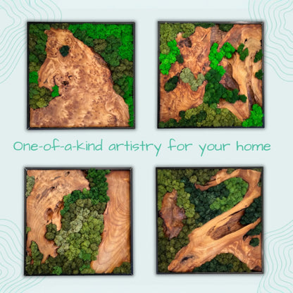 Four unique square moss wall art pieces of cedar wood
