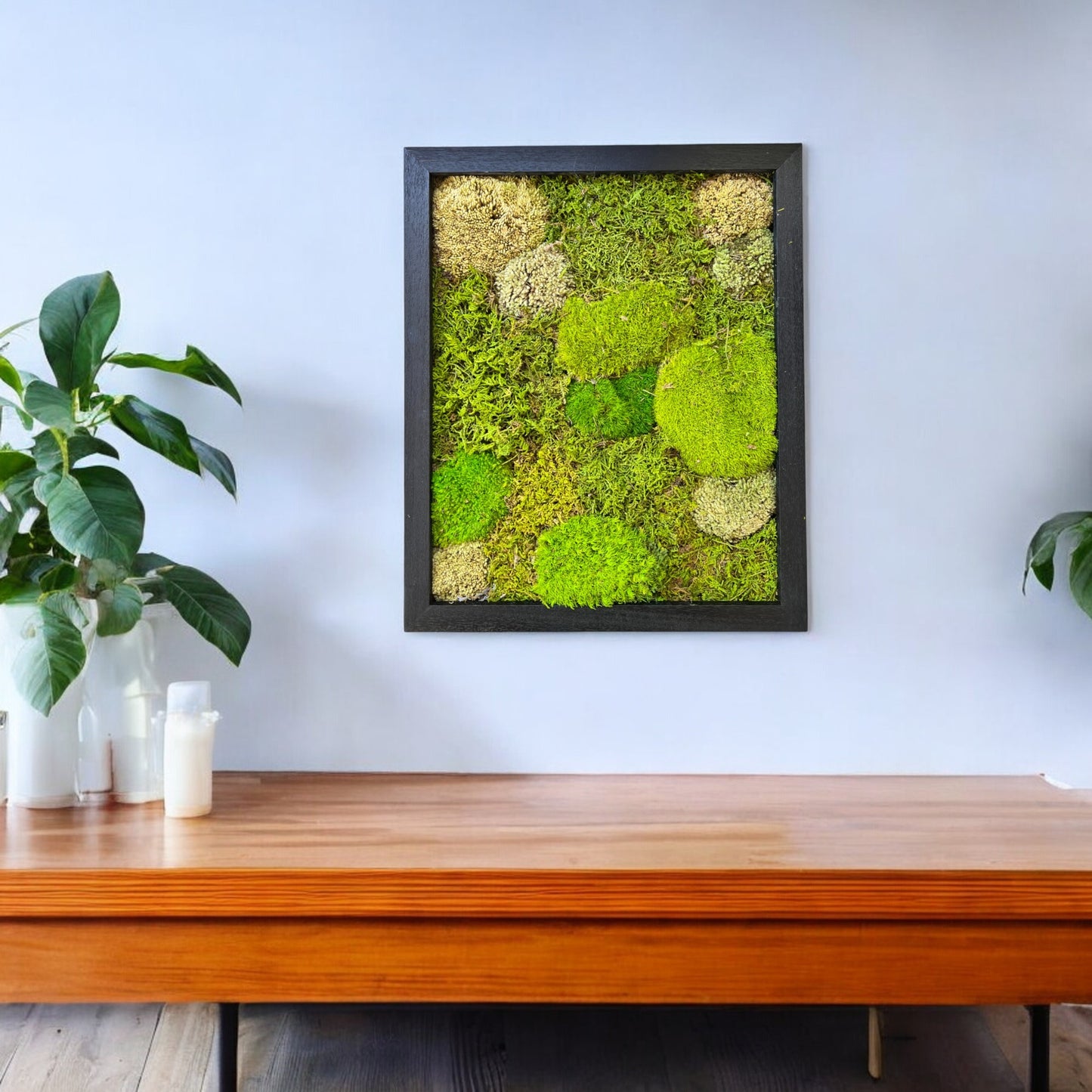Preserved Moss Wall Art with Artificial Petals 16"x13"