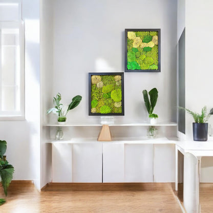 Preserved Moss Wall Art with Artificial Petals 16"x13"