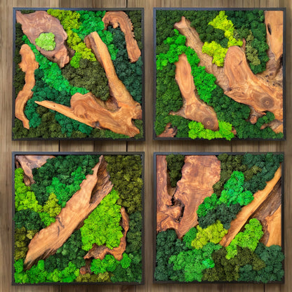 Cedar Wood Moss Wall Art in Square 12"x12" & 16"x16"