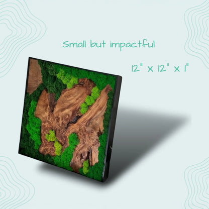 12x12 moss wall art featuring preserved moss and natural cedar wood in a black frame
