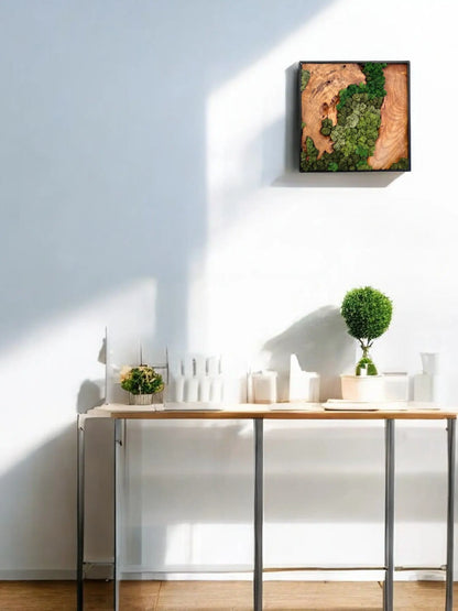 moss wall art with cedar wood, mounted on a white wall above a modern table with decorative plants