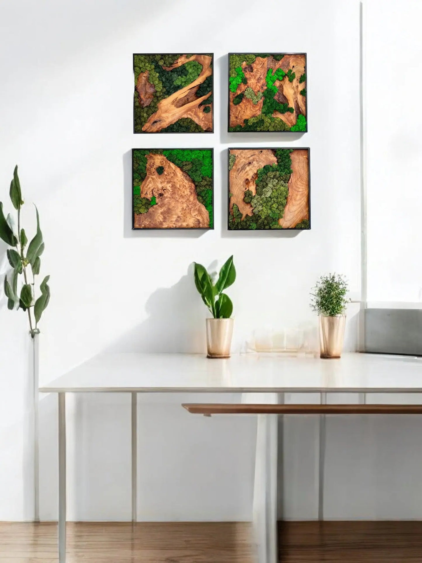 Set of four moss wall art pieces with cedar wood, arranged on a white wall