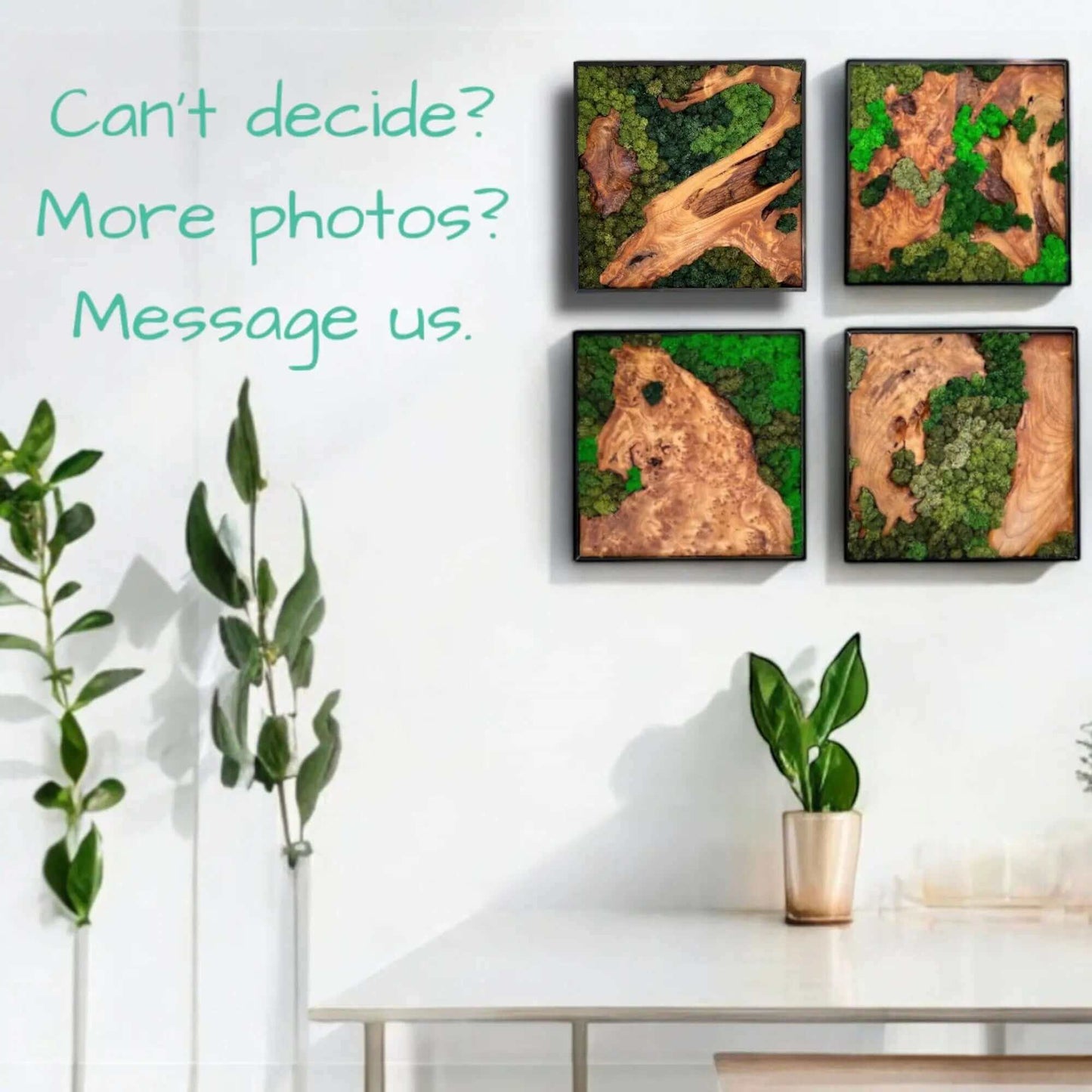 Set of four moss wall art pieces of cedar wood displayed on a white wall