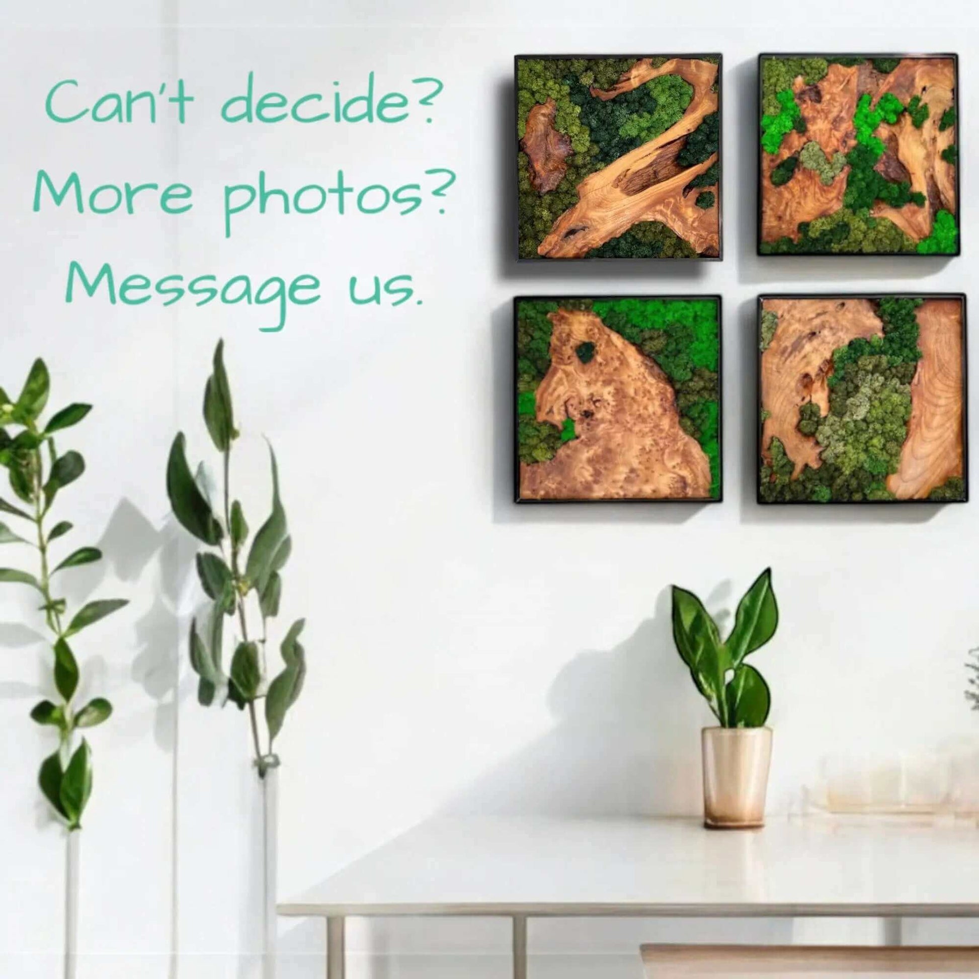 Set of four moss wall art pieces of cedar wood displayed on a white wall