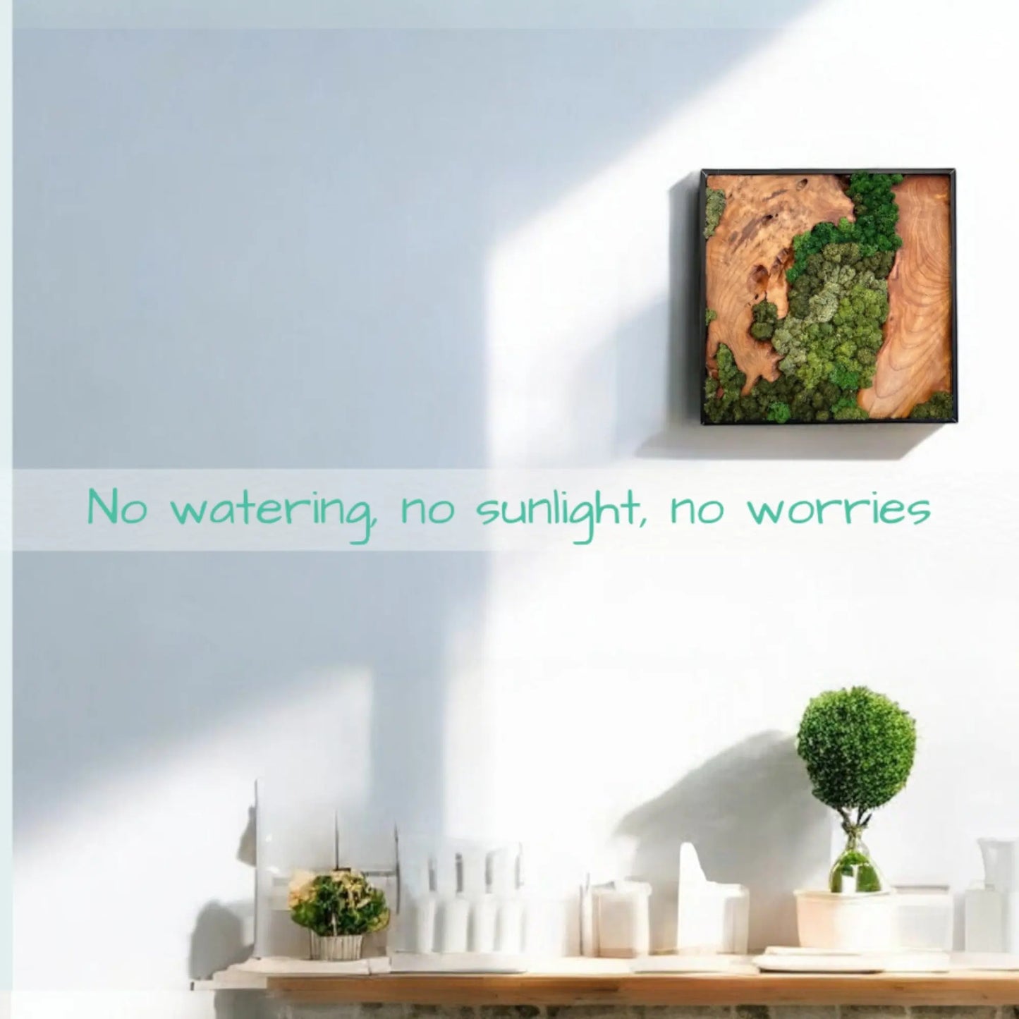 moss wall art with preserved greenery and cedar wood, requiring no watering or sunlight
