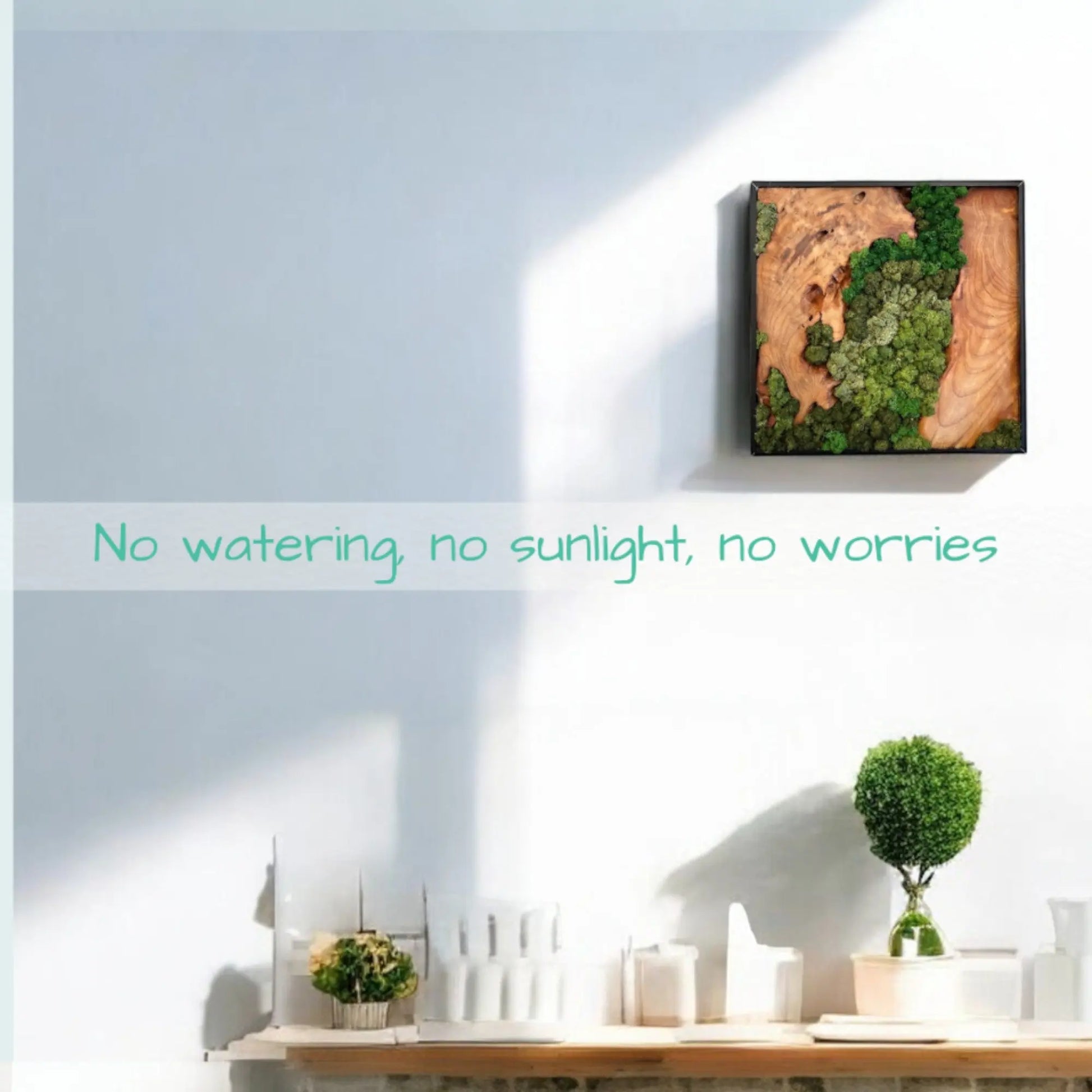 moss wall art with preserved greenery and cedar wood, requiring no watering or sunlight