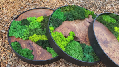 Video showcasing three cedar wood and moss wall art pieces laying side-by-side on a floor with wood chips. 