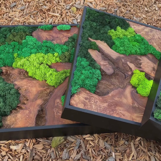 Video showcasing three moss wall art pieces of cedar wood set against a wood chip background