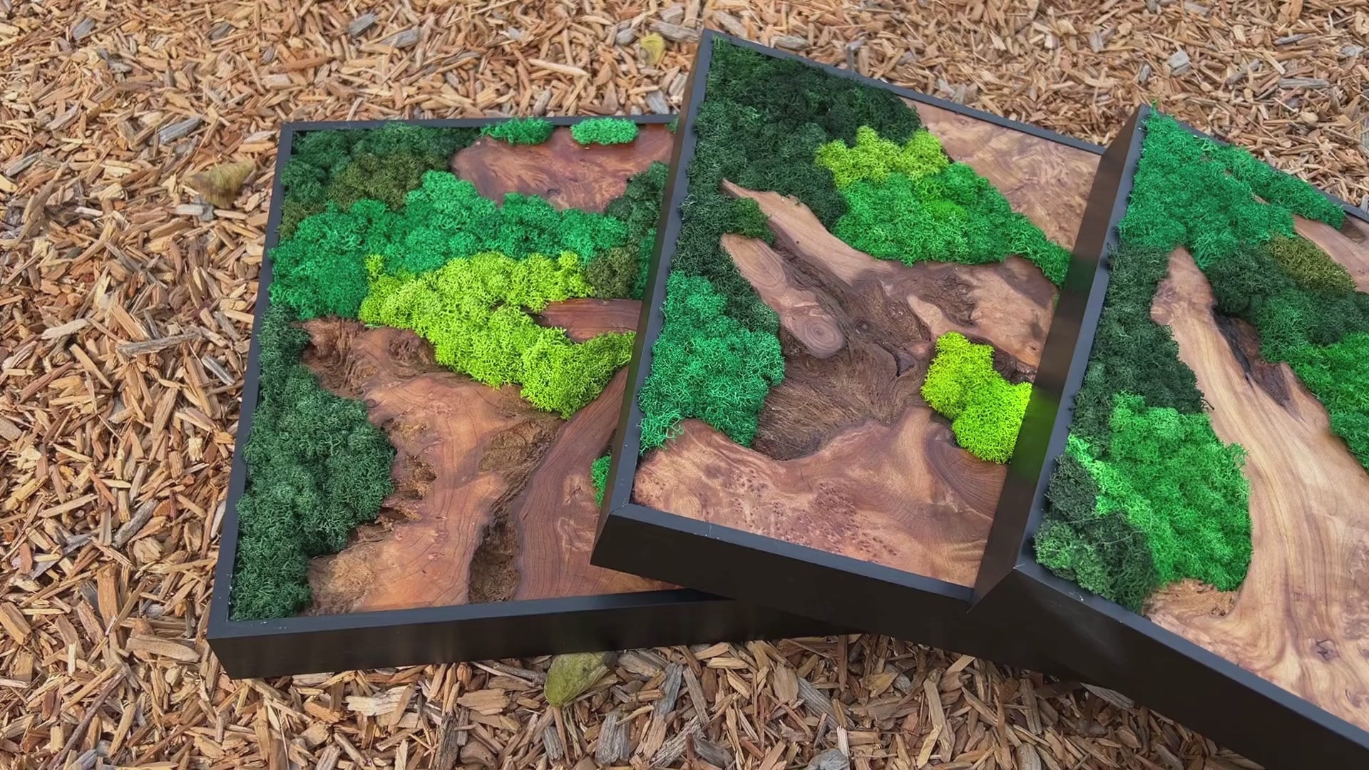 Video showcasing three moss wall art pieces of cedar wood set against a wood chip background