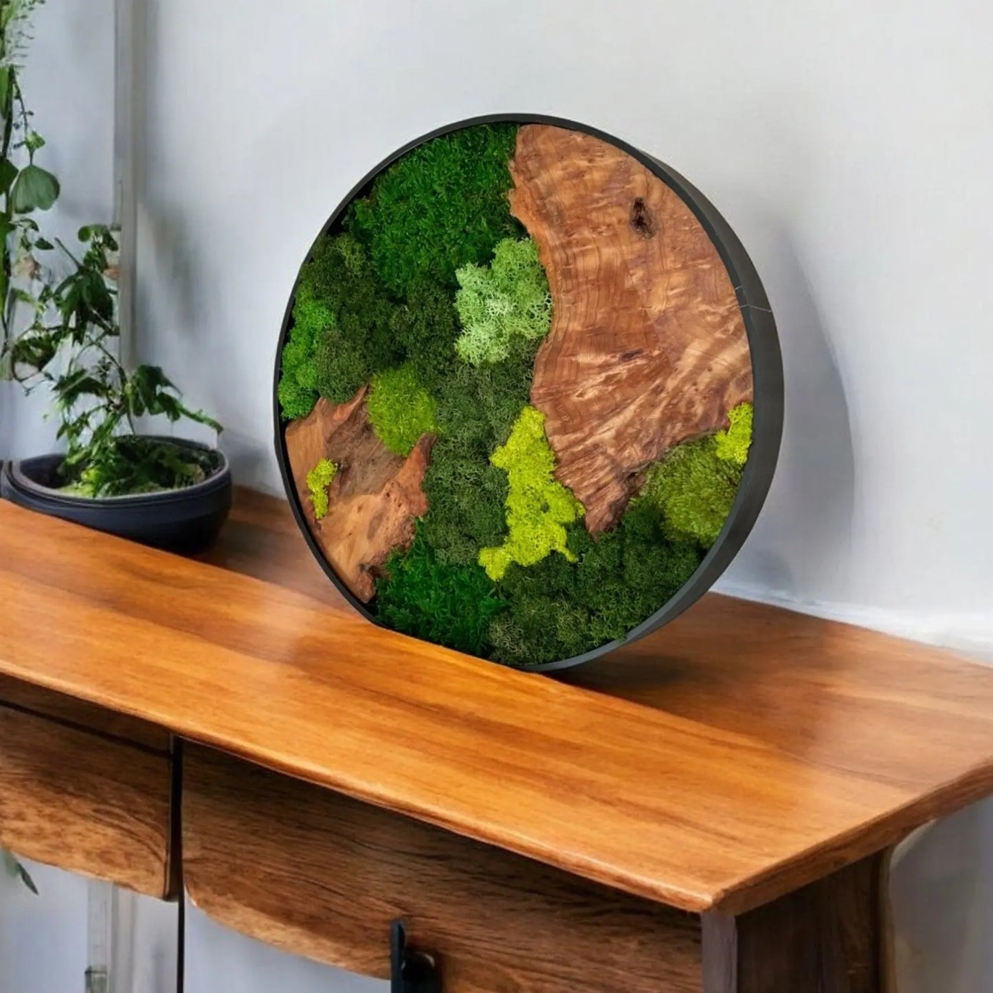 12x12" & 16x16" Round Cedar Wood Moss Wall Art Displayed on Wooden Table - Natural Décor for Modern Interiors
