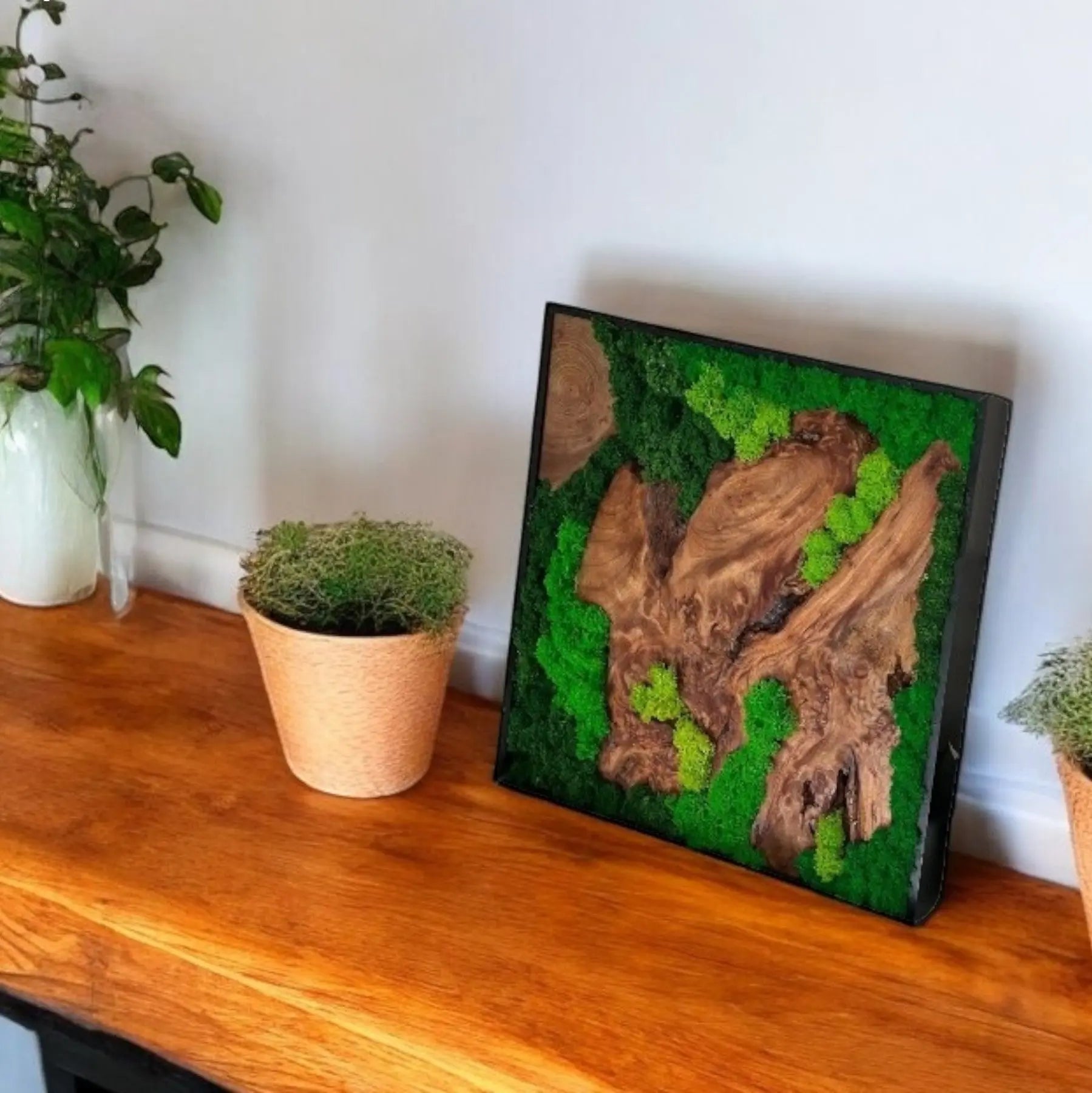 moss wall art with cedar wood, displayed on a wooden surface with potted plants