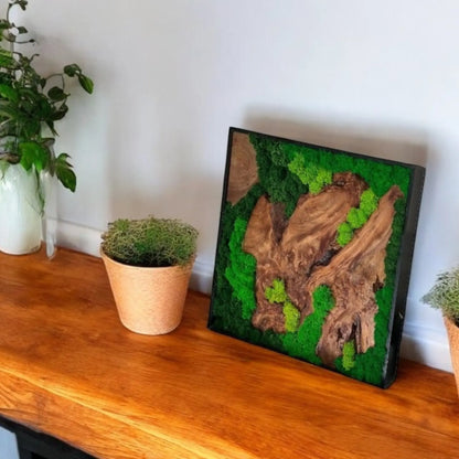moss wall art with cedar wood, displayed on a wooden surface with potted plants